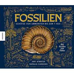 Fossilien – Schätze von Ammoniten bis zum T. Rex. Mit Fossilien zum Fühlen