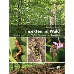 Insekten im Wald