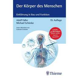 Der Körper des Menschen