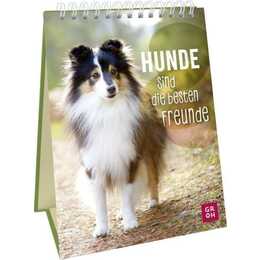 Hunde sind die besten Freunde