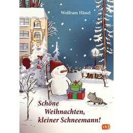 Schöne Weihnachten, kleiner Schneemann!