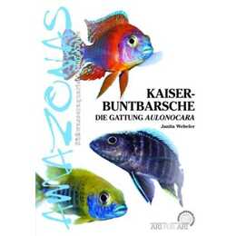 Kaiserbuntbarsche