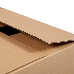 ANTALIS Versandbox Branowell (31 cm x 22 cm x 22 cm, 25 Stück)