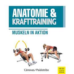 Anatomie & Krafttraining
