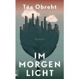 Im Morgenlicht