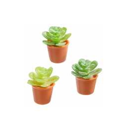 HOBBYFUN Mini Deko Miniatur-Pflanzen