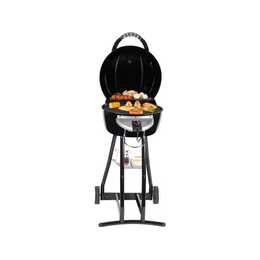 TRISA BBQ Star 2 en 1 Barbecue au charbon de bois & électrique (Argent, Noir)