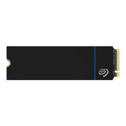 SEAGATE ZP1000GP3A2001 (PCI Express, 1000 GB, Schwarz)