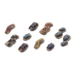 TABLETOP-ART Set di miniature Animali (Universale, 10 Parti)