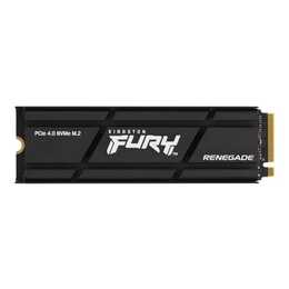 KINGSTON TECHNOLOGY FURY Renegade (PCI Express, 4000 GB)