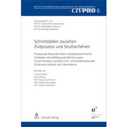 Schnittstellen zwischen Zivilprozess und Strafverfahren