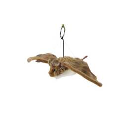 Living Nature Große Fledermaus (31 Cm) – Realistisches Kuscheltier Mit Fact Tag – Pädagogisch & Kuschelig – Für Tierfreunde Jeden Alters