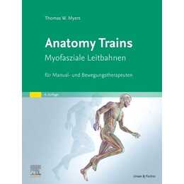 Anatomy Trains