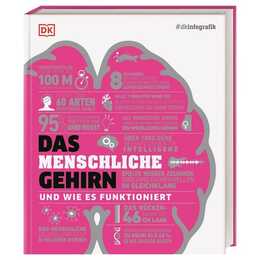 Das menschliche Gehirn und wie es funktioniert