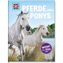Pferde und Ponys