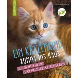 Ein Katzenkind kommt ins Haus