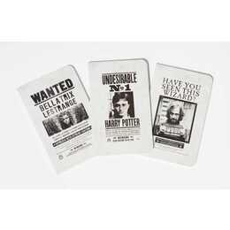 Harry Potter: Wanted Posters Pocket Notebook Collection