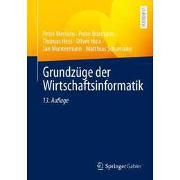 Grundzüge der Wirtschaftsinformatik