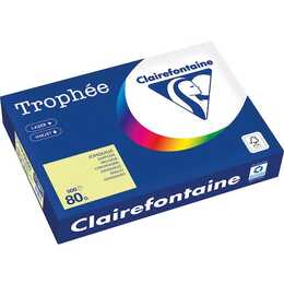 CLAIREFONTAINE Trophée Farbiges Papier (500 Blatt, A4, 80 g/m2)
