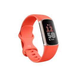 FITBIT Activity Tracker Charge 6 (36.73 mm, L/M/S, Or)