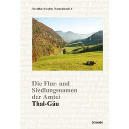 Die Flur- und Siedlungsnamen der Amtei