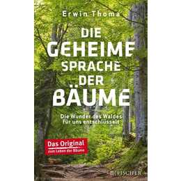 Die geheime Sprache der Bäume