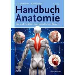 Handbuch Anatomie