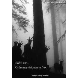 Soft Law - Ordnungsvisionen in flux