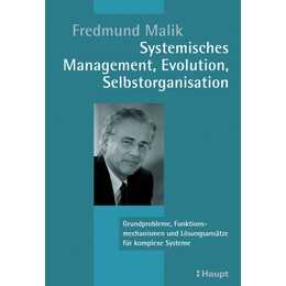 Systemisches Management, Evolution, Selbstorganisation