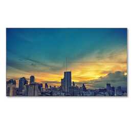 NEC UN552V UN (55 ", LCD - LED-Backlight)