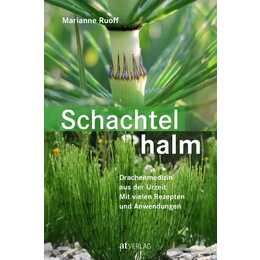 Schachtelhalm