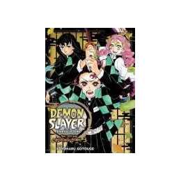 Demon Slayer Kimetsu No Yaiba The Official Coloring Book Interdiscount