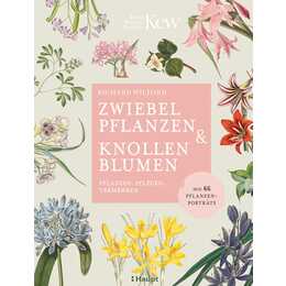 Zwiebelpflanzen & Knollenblumen