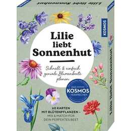 Lilie liebt Sonnenhut
