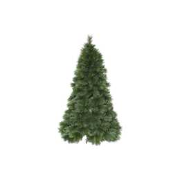 STAR TRADING Cembra Weihnachtsbaum (240 cm)