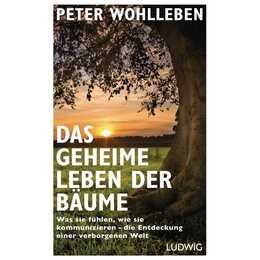 Das geheime Leben der Bäume