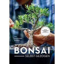 Bonsai selbst gezogen