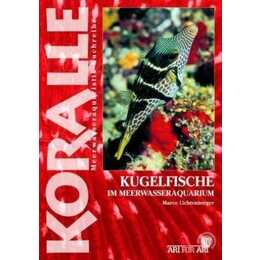 Kugelfische