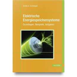 Elektrische Energiespeichersysteme