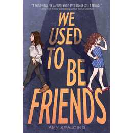 We Used to Be Friends