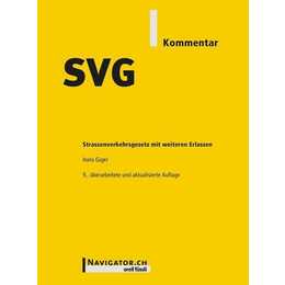 SVG Kommentar