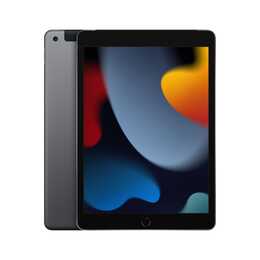 APPLE iPad Wi-Fi + Cellular 2021 (10.2", 256 GB, 4G, Grigio siderale)