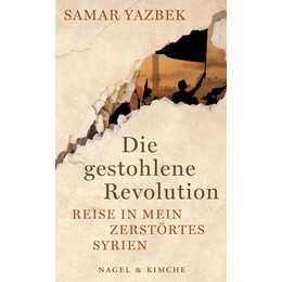 Die gestohlene Revolution
