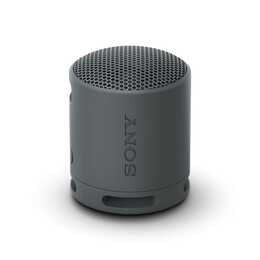 SONY SRS-XB100 (Bluetooth, Schwarz)