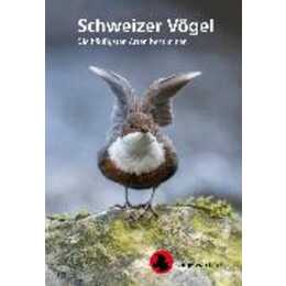 Schweizer Vögel