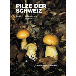 Blätterpilze 3. Teil