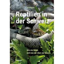 Reptilien in der Schweiz