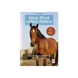 Mein Pferd richtig füttern