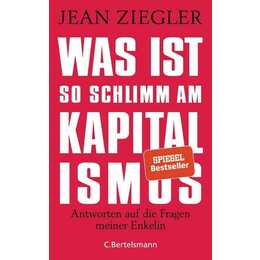 Was ist so schlimm am Kapitalismus?