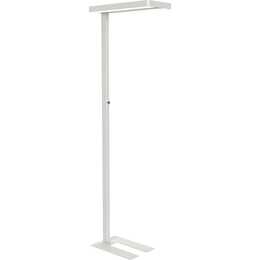 MAUL Lampadaire (196 cm)